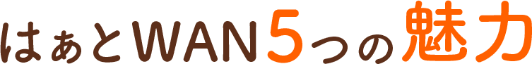 はぁとWAN 5つの魅力
