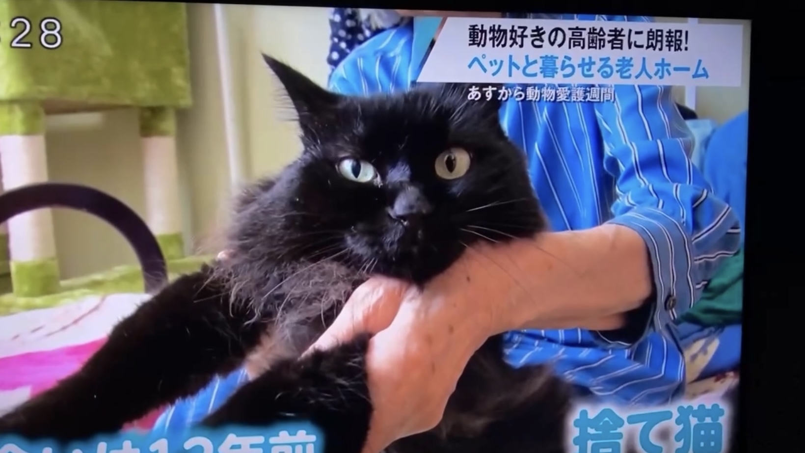 はぁとWAN　🍎🍎RABニュースレーダーで放送されました🤗🍎　｜　弘前市の住宅型有料老人ホーム