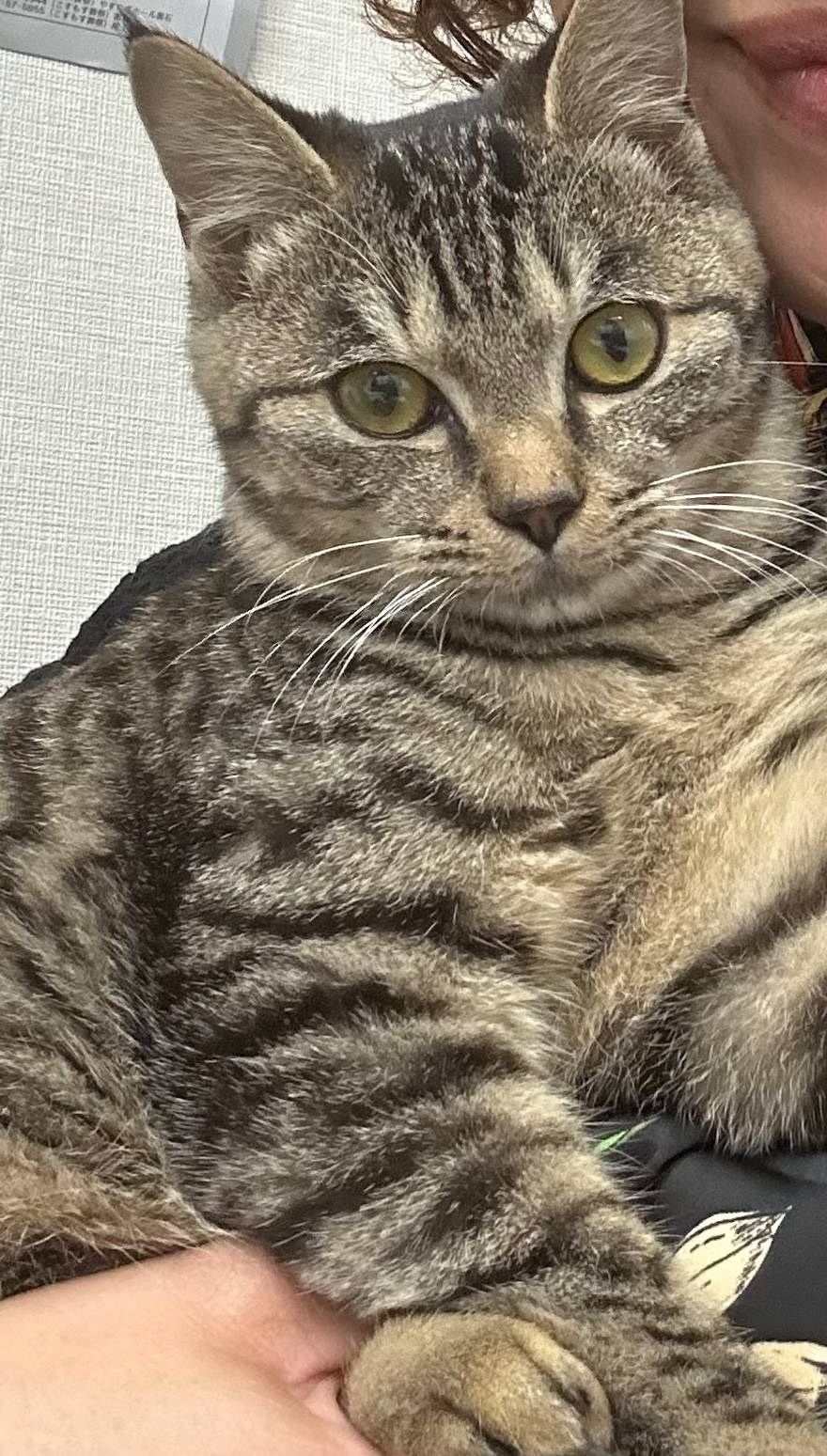 はぁとWAN　僕の名前はチビです。　｜　弘前市の住宅型有料老人ホーム